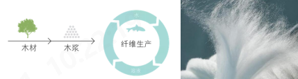意昂体育科技