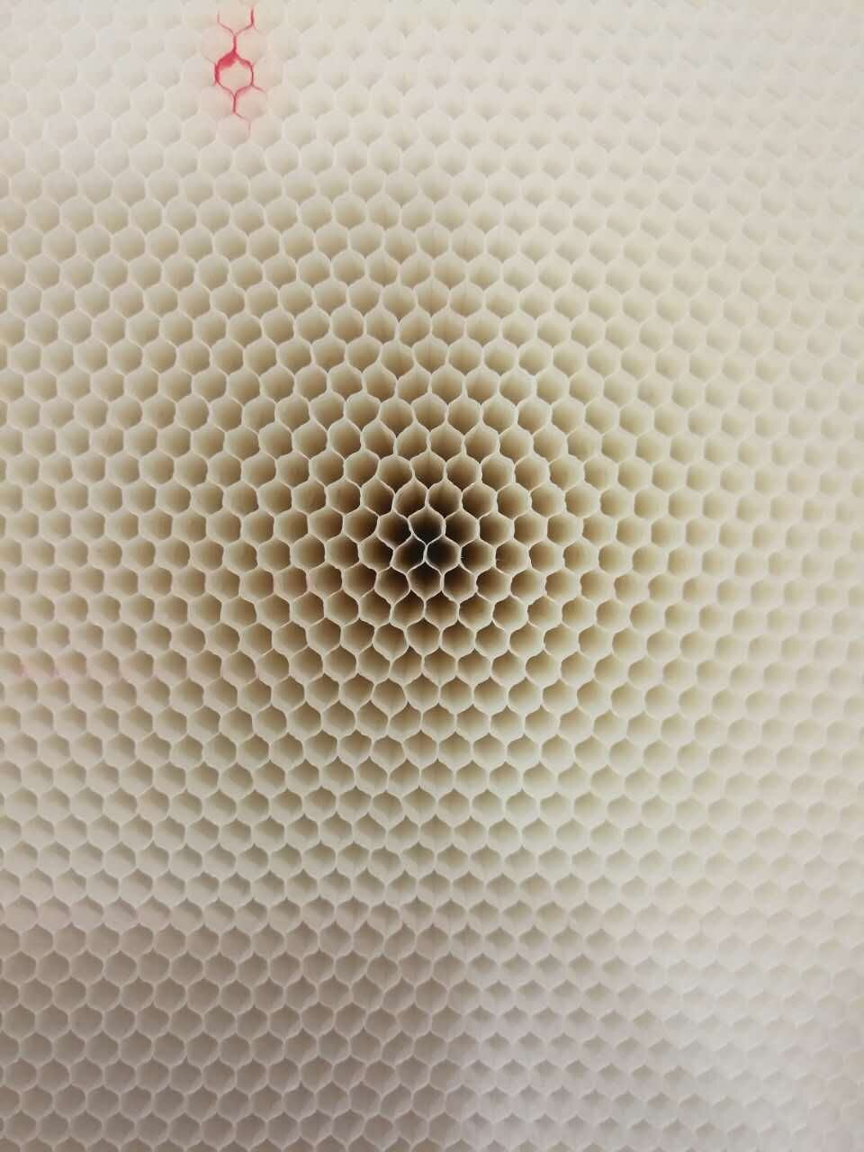 意昂体育科技